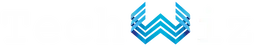Techwiz Logo